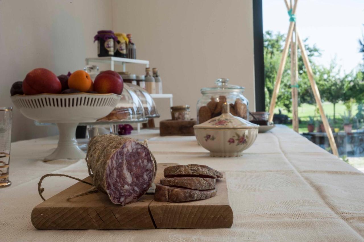 Le Ferrerie Agriturismo Fattoria Marchesini Praticello di Gattatico Exteriér fotografie